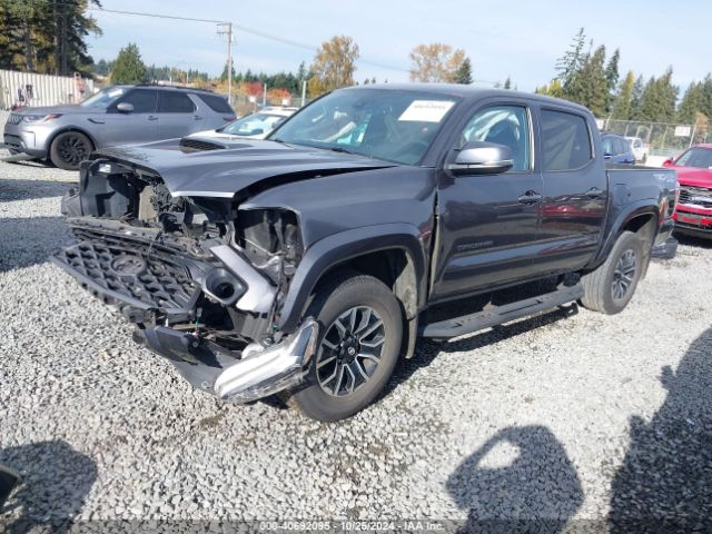 3TMCZ5AN4MM387200 Toyota Tacoma Trd Sport