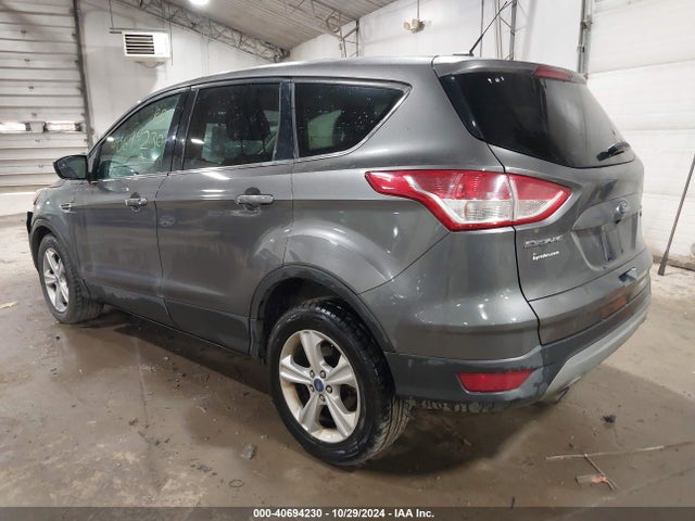 Ford ESCAPE SE 2014 1FMCU0GX5EUB13698 Image 3