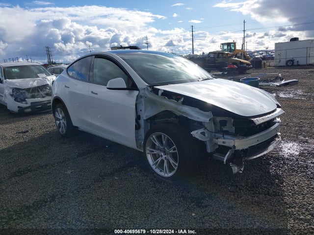 2023 TESLA MODEL Y 7SAYGDEE9PF908388 Photo 0