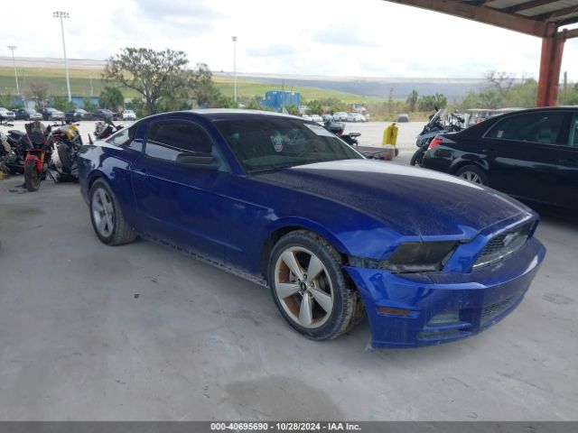 2013 FORD MUSTANG 1ZVBP8AM1D5267240