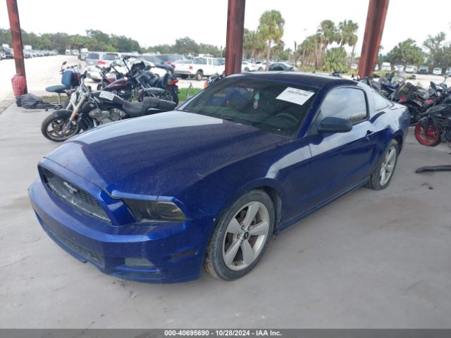 2013 FORD MUSTANG 1ZVBP8AM1D5267240 Photo 1