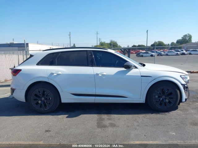 WA16AAGEXRB032013 Audi Q8 E-tron Prestige Quattro