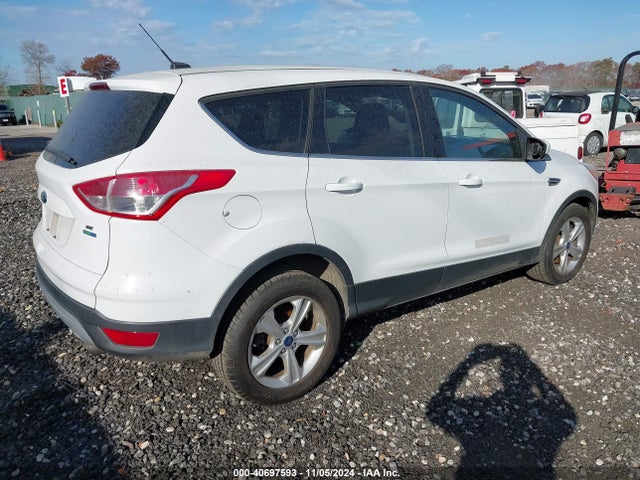 Ford ESCAPE SE 2014 1FMCU9GX2EUD66739 Image 4