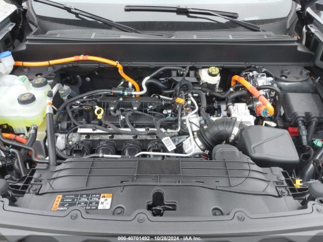 3FTTW8H32RRB10859 Ford Maverick Xlt