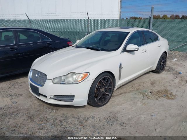 2009 JAGUAR XF SAJWA06B99HR26588 Photo 1