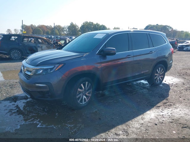 Honda Pilot Awd Ex 2020 5FNYF6H39LB052283 Image 2