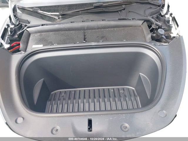 2024 TESLA MODEL Y 7SAYGDEEXRA269597 Photo 9