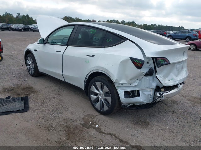 2024 TESLA MODEL Y 7SAYGDEEXRA269597 Photo 2