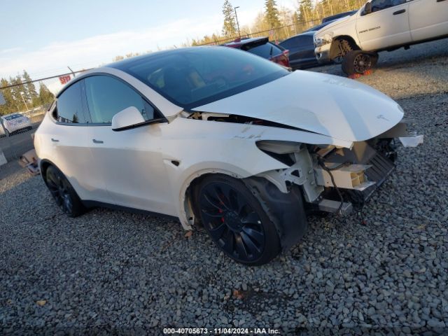 2023 TESLA MODEL Y 7SAYGDEF8PF663950