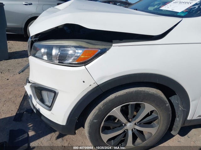 KIA Sorento 2.0t Ex 2016 5XYPHDA17GG041543 Image 18
