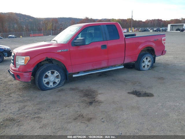40706226 :رقم المزاد ، 1FTEX1EW1AFC06138 vin ، 2010 Ford F150 Super Cab مزاد بيع