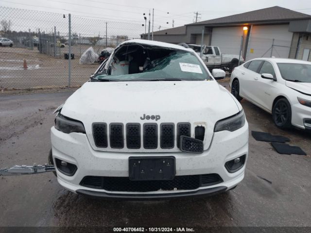 1C4PJMDN2LD575710 Jeep Cherokee High Altitude 4x4