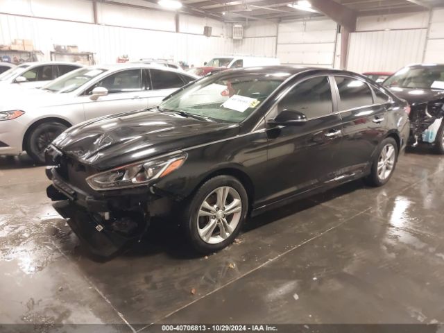 5NPE34AF5JH626123 Hyundai SONATA SEL