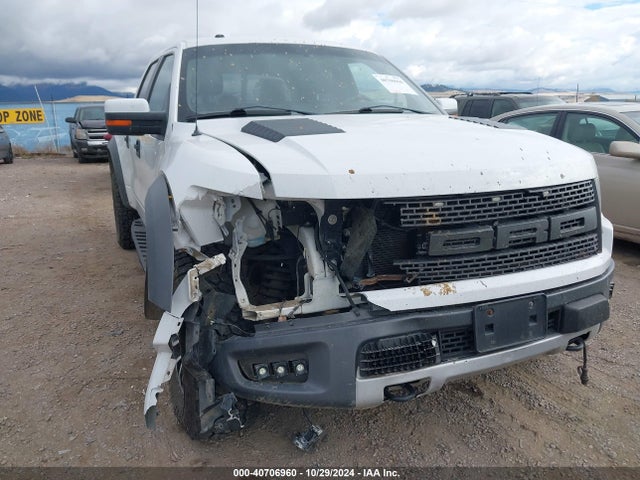 Ford F-150 Svt Raptor 2014 1FTFW1R62EFC00548 Image 6