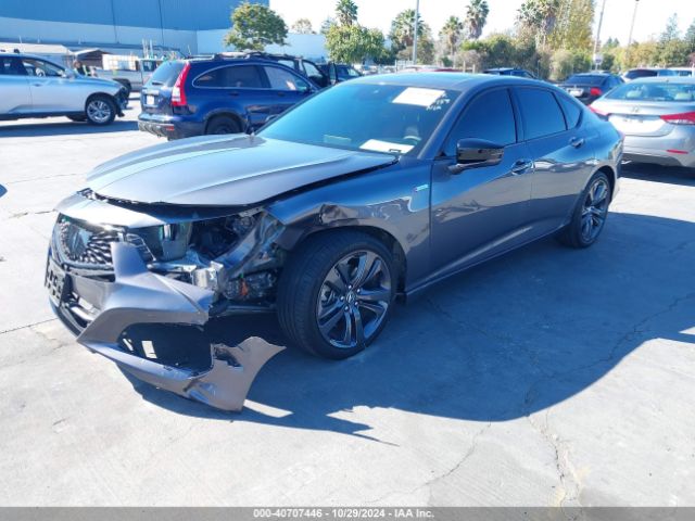 19UUB6F52PA005546 Acura Tlx A-spec Package