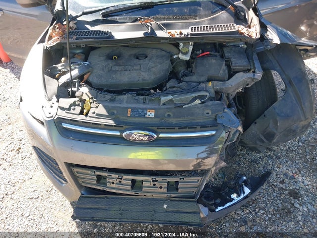 Ford ESCAPE SE 2014 1FMCU9G95EUB62471 Image 10