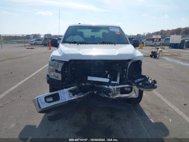1FTEW1EGXFFB43186 Ford F-150 Xlt