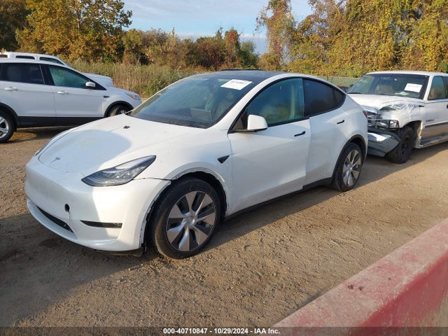 2021 TESLA MODEL Y 5YJYGDEE5MF204407 Photo 1