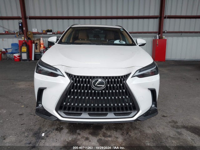 JTJHKCFZ6R2023043 Lexus Nx 450h+ Luxury