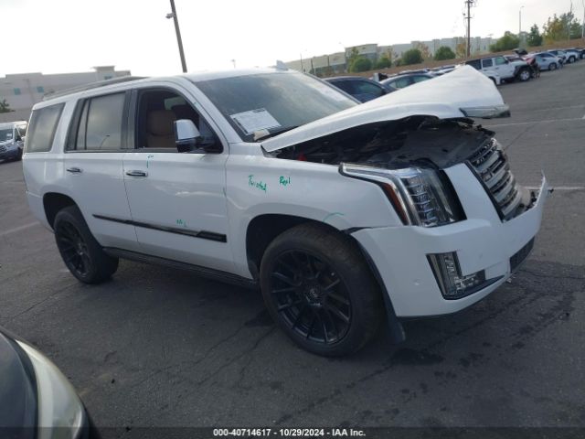 1GYS4DKJXLR177224 Cadillac Escalade 4wd Platinum