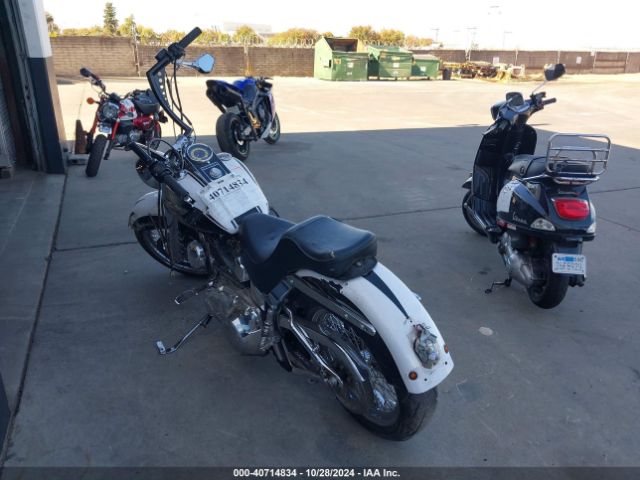 2007 HARLEY-DAVIDSON FLSTN 1HD1JD53X7Y049860 Photo 2