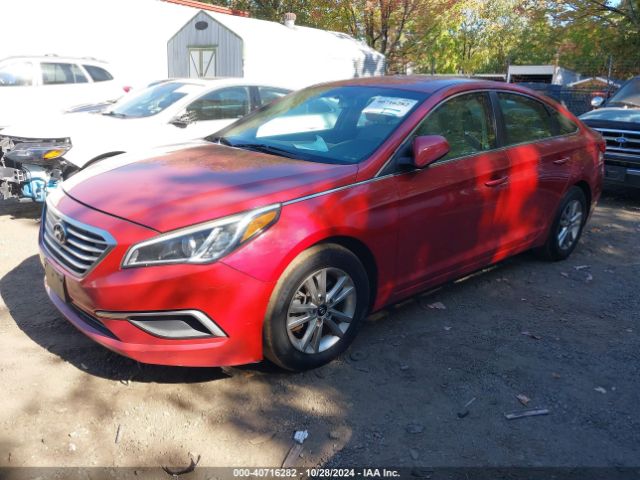 5NPE24AF7HH572224 Hyundai Sonata