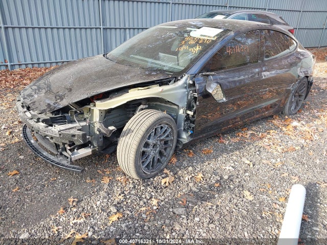 2024 TESLA MODEL 3 5YJ3E1EA0RF750468 Photo 5
