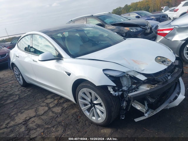 2021 TESLA MODEL 3 5YJ3E1EB6MF061231 Photo 0