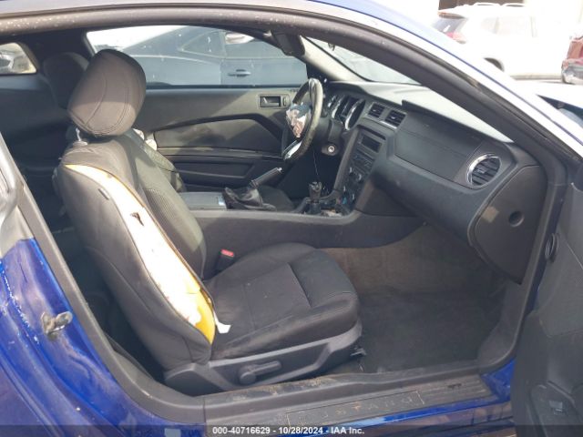 1ZVBP8AM5E5203087 Ford Mustang V6