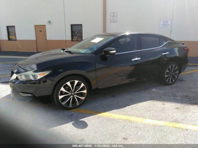 1N4AA6AP1GC439769 Nissan Maxima 3.5 Sr
