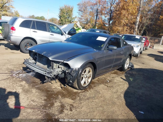 Ford Mustang V6 2014 1ZVBP8AM8E5329833 Image 2