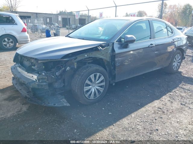 4T1A11AKXLU978537 Toyota CAMRY L