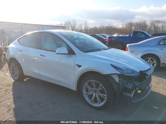 2021 TESLA MODEL Y 5YJYGDEEXMF098665 Photo 0