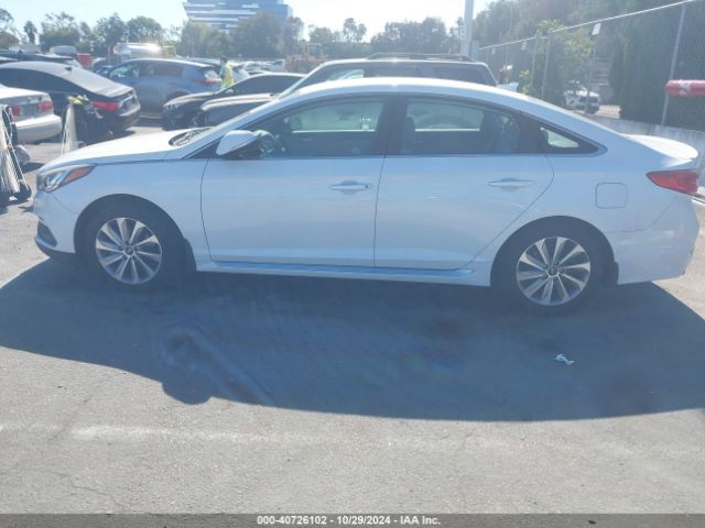 5NPE34AF5FH257481 Hyundai Sonata Sport