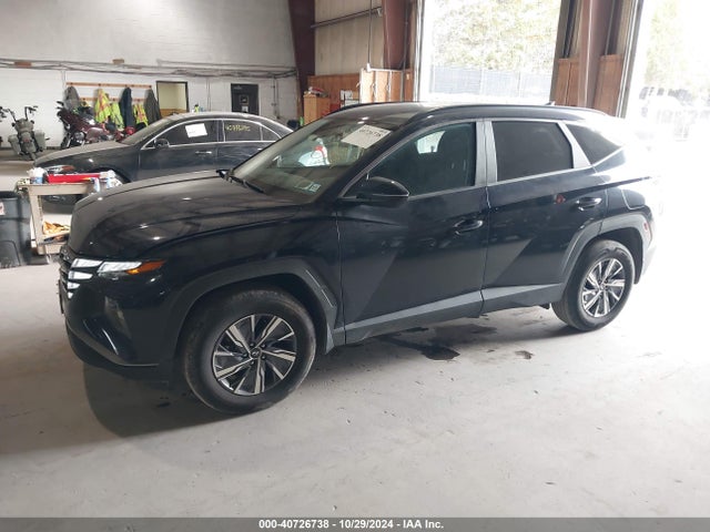 KM8JBCA10NU063912 Hyundai Tucson Hybrid Blue