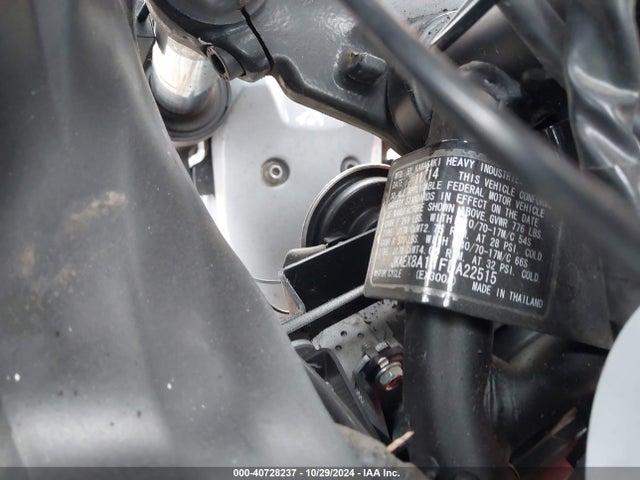 Kawasaki Ninja 300 2015 JKAEX8A11FDA22515 Image 10