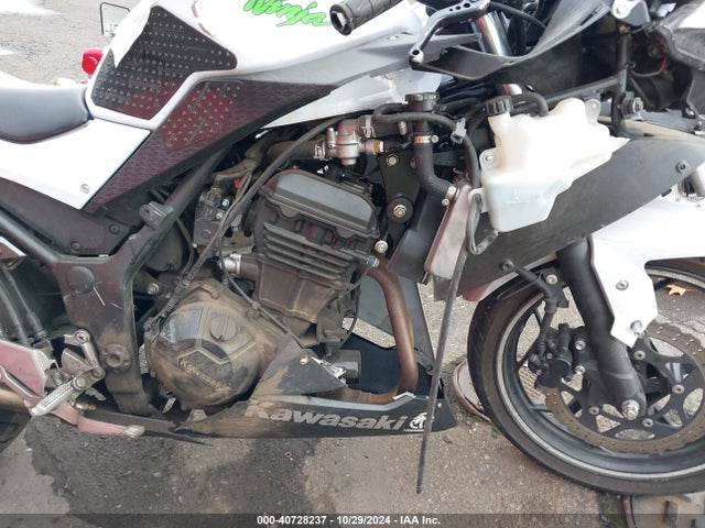 Kawasaki Ninja 300 2015 JKAEX8A11FDA22515 Image 8