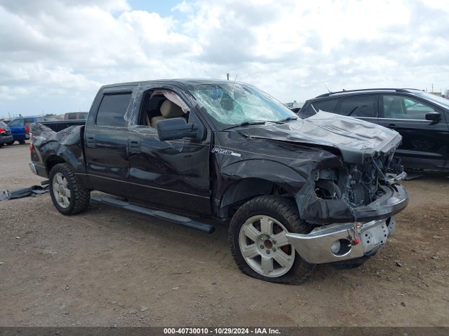 Ford F-150 Xlt 2014 1FTEW1CM9EFA48061 Image 12