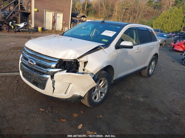 Ford EDGE SEL 2014 2FMDK4JC2EBA61248 Image 2