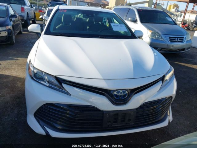 4T1C31AK8LU537038 Toyota Camry Le Hybrid