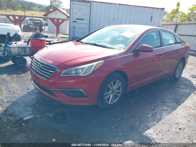 5NPE24AF0HH494434 Hyundai Sonata