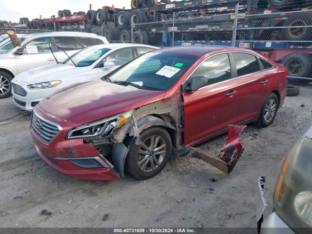 5NPE24AF7GH431006 Hyundai SONATA SE