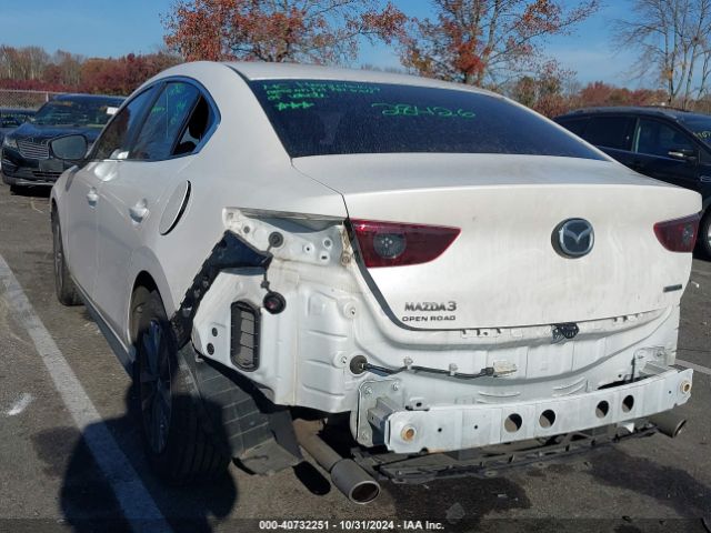 JM1BPAAL6M1309068 Mazda 3