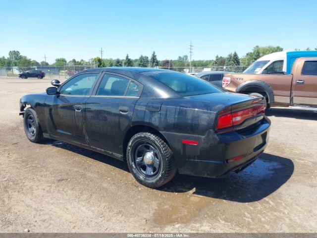 2014 DODGE CHARGER 2C3CDXAT3EH198891 Photo 2