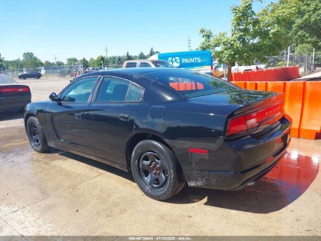 2014 DODGE CHARGER 2C3CDXAT7EH198893 Photo 2