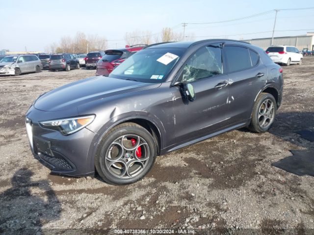 2020 ALFA ROMEO STELVIO ZASPAKAN3L7C96958 Photo 1
