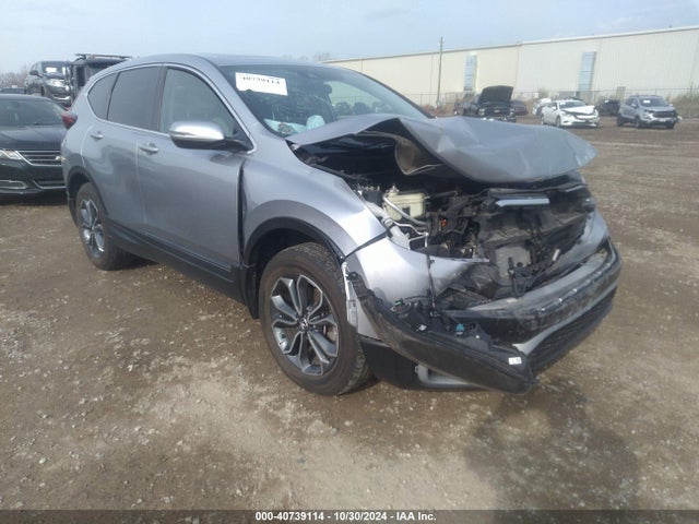 2020 5J6RW2H53LL038479 main image