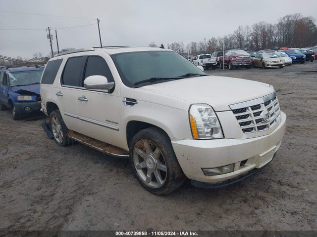 2010 CADILLAC ESCALADE 1GYUKAEF0AR254734 Photo 0