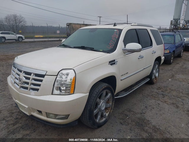 2010 CADILLAC ESCALADE 1GYUKAEF0AR254734 Photo 1