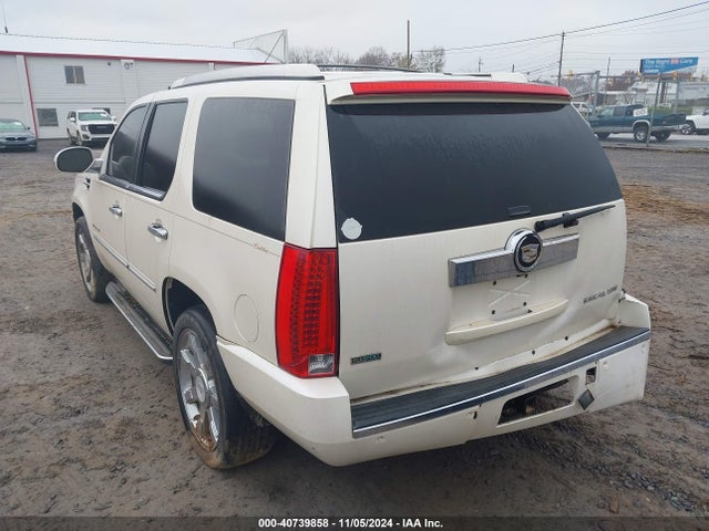 2010 CADILLAC ESCALADE 1GYUKAEF0AR254734 Photo 2